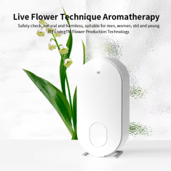 Nebulizer Waterless Air Scent Essential Oil Aroma Electric Portable Mini Diffuser Machine