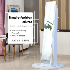 Full Length Mirror With Storage Function